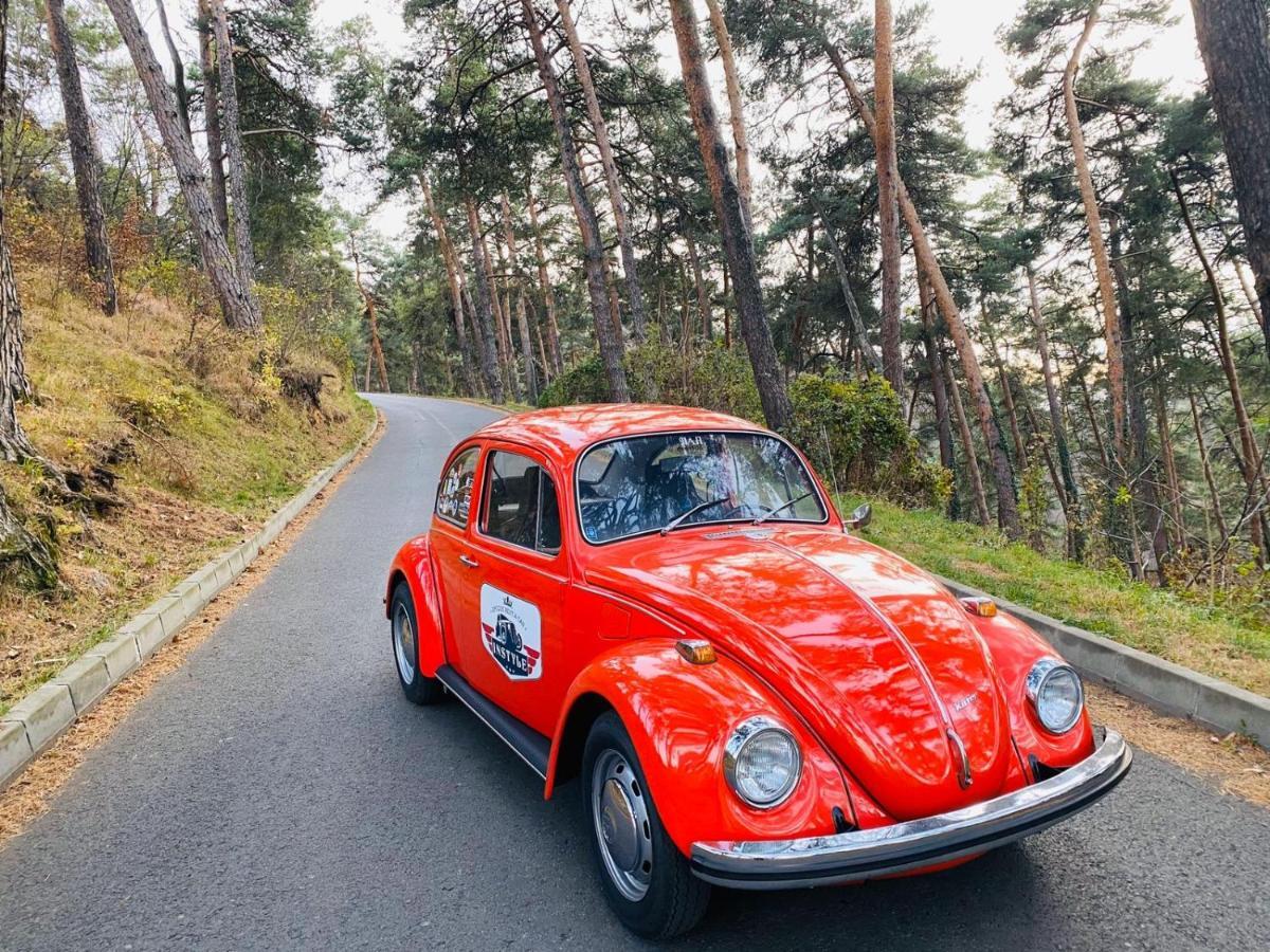 Vila Old Cars クリスティアン エクステリア 写真